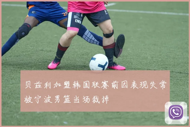 贝兹利加盟韩国联赛前因表现失常被宁波男篮当场裁掉