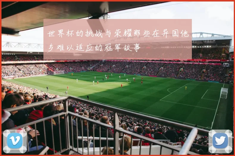 世界杯的挑战与荣耀那些在异国他乡难以适应的冠军故事